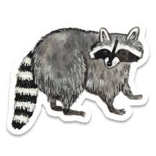 STICKERS, RACCOON